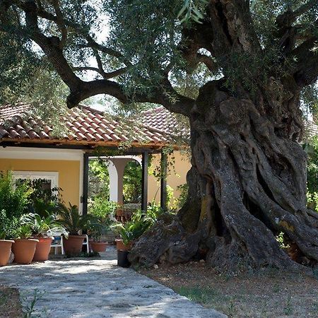 Villa Christina Закинтос Екстериор снимка