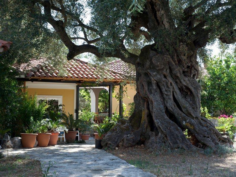 Villa Christina Закинтос Екстериор снимка